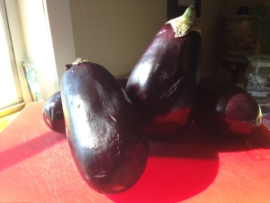 My 4 Eggplants