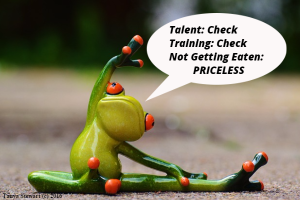 Frog Talent & Training